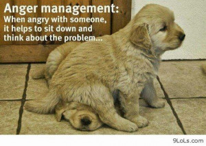 of funny dogs funny dogs with words funny dogs with sayings funny ...