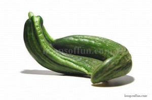 Related Pictures funny cucumber