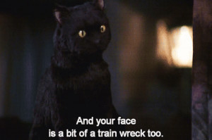 completely forgot how sassy Salem the cat was xD