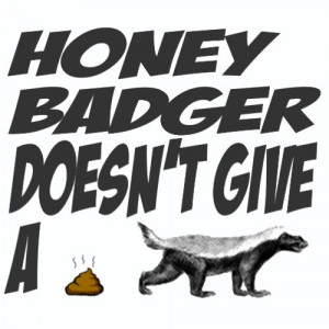 Honey Badger Doesn't Give a Shit T-Shirt by thomodachi