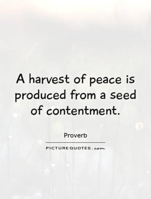 peace quotes contentment quotes proverb quotes harvest quotes