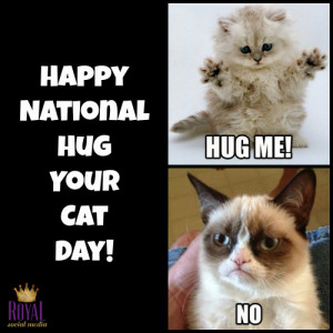 happy national hug your cat day