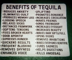 in collection Morchards