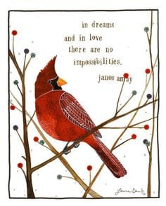 Quotes Birds Cardinals ~ Cardinals on Pinterest | 18 Pins