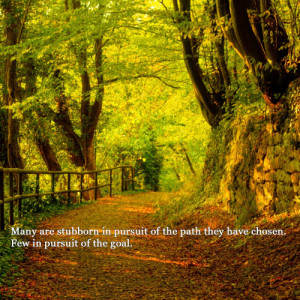 Many are stubborn in the pursuit of the path they have chosen. Few ...