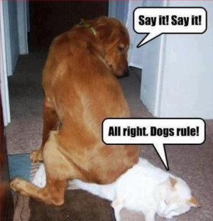 Dogs Rule and Cats Drool Say it! Say it! all Right Dogs Rule!