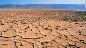 Desert Breath Cracked Earth 3791