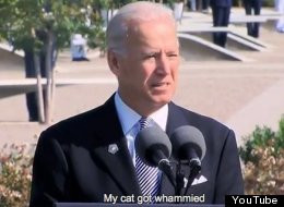 There is now a website called Joe Biden Said That?