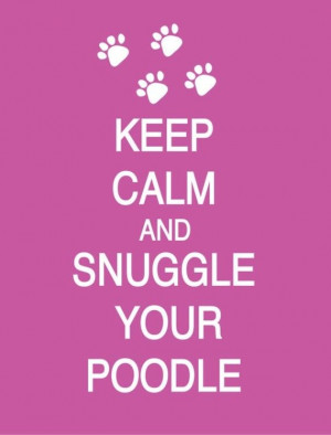 ... and snuggle your #poodle & then go to the Poodle Peace Parade