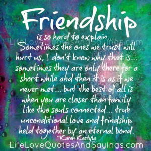 Friendship Is So Hard To Explain..