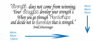 Arnold Schwarzenegger - Strength... Wall Sticker
