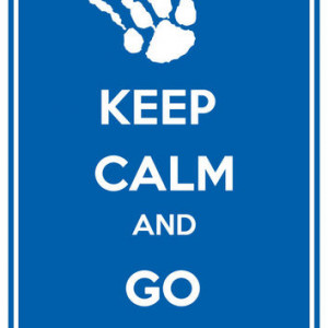University of Kentucky Wildcats Keep Calm & Go Wildcats 11
