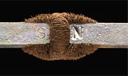 Fundamental Forces Of Nature HD (click to view)