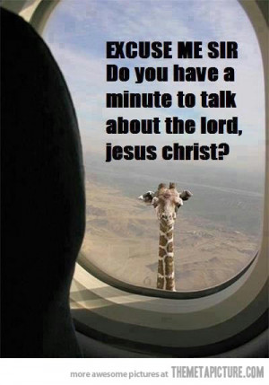 Funny photos funny giraffe plane window