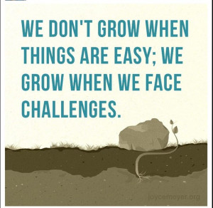 ... When Things Are Easy; We Grow When We Face Challenges. ~Joyce Meyer