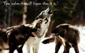 wolf pack quotes