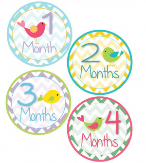 Happy 7 Months Baby Girl Quotes ~ Amazon.com: Wall Décor: Baby ...