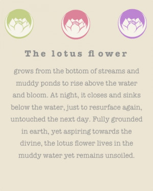Lotus flower holds a lot of meaning. Would love a lotus tattoo. is ...