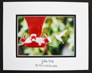 Inspirational Quotes