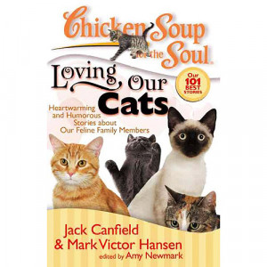 chicken soup for the teenage soul quotes. Chicken Soup for the Soul: