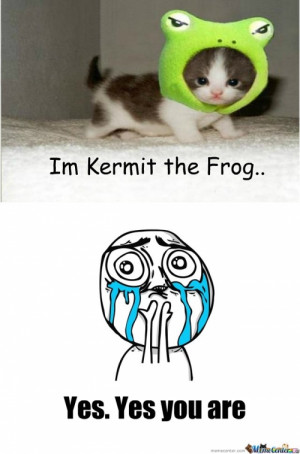 Kermit The Frog Memes - 14691 results