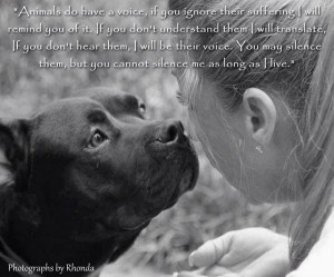 Uploaded to Pinterest