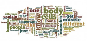 May 20, 2012 – http://www.cs.cmu.edu/~ab/Salon/UWM/wordle.jpg