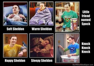 Different Versions of The Big Bang Theory Soft Kitty