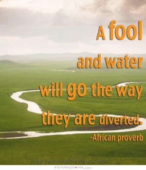 Water Quotes Fool Quotes African Quotes Proverb Quotes