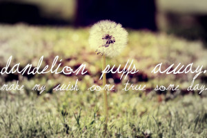 Dandelion Quotes Pictures