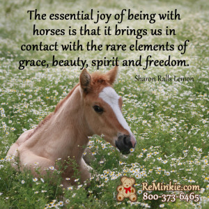 Horse Lovers Quotes Sayings