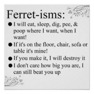 Ferret-isms & Sayings Print