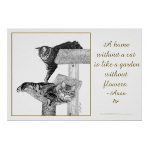 Maine Coon Cats Poster with Quote