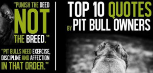 top 10 quotes by pit bull owners graphic