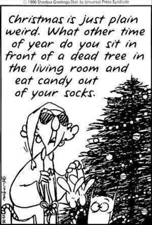 christmas is just weird funny comic quotes