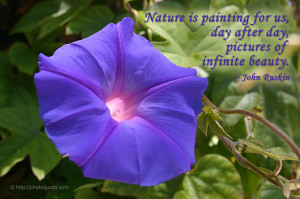 Beautiful Nature Quotes Beautiful pictures of nature