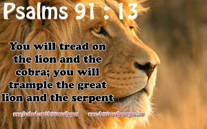 Lion Quotes From The Bible