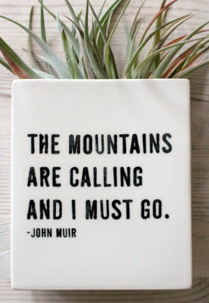 MADE TO ORDER porcelain wall vase john muir quote. by mbartstudios, $ ...