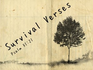 the bible is a book that is more about survival than we often think in ...