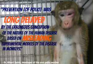 Animal Testing Quotes