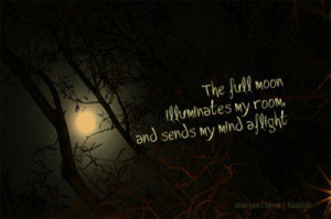 the full moon illuminates my room