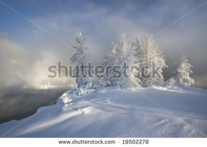 Winter sunny day. The snow lays. Trees in hoarfrost on a background of ...
