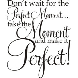 Dont-wait-for-the-Perfect-Moment-take-the-Moment-and-make-it-Perfect ...