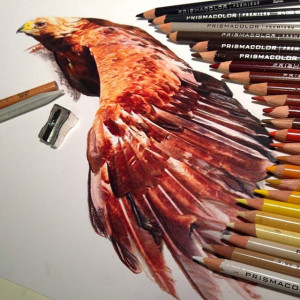 amazing colored pencil drawing