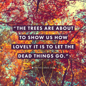 ... trees are about to show us how lovely it is to let the dead things go