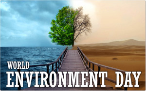 Previous article World Environment Day Quotes Sayings Images Slogans ...