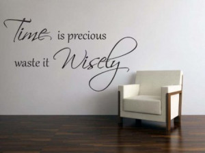 Time is precious waste it wisely,Vinyl Art Wall Quote Expressions ...