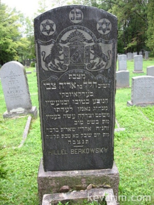 view original image )