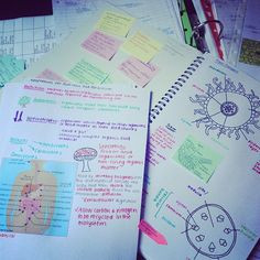... with making notes #revision #biology #colourful ... | Webstagram More
