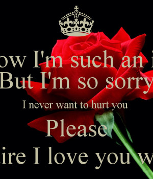 know I'm such an idiot But I'm so sorry I never want to hurt you ...